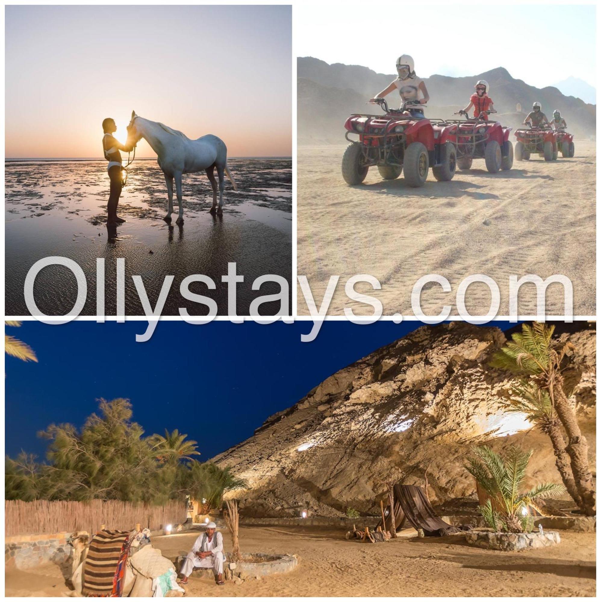 Ollystays Mangroovy 1 Bedroom Beach And Pool Free Access Hurghada Ngoại thất bức ảnh